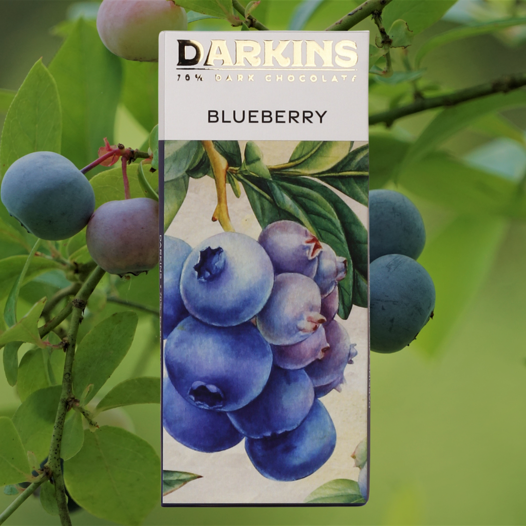 Dark Chocolate - Blueberry (Darkins) 50 gm