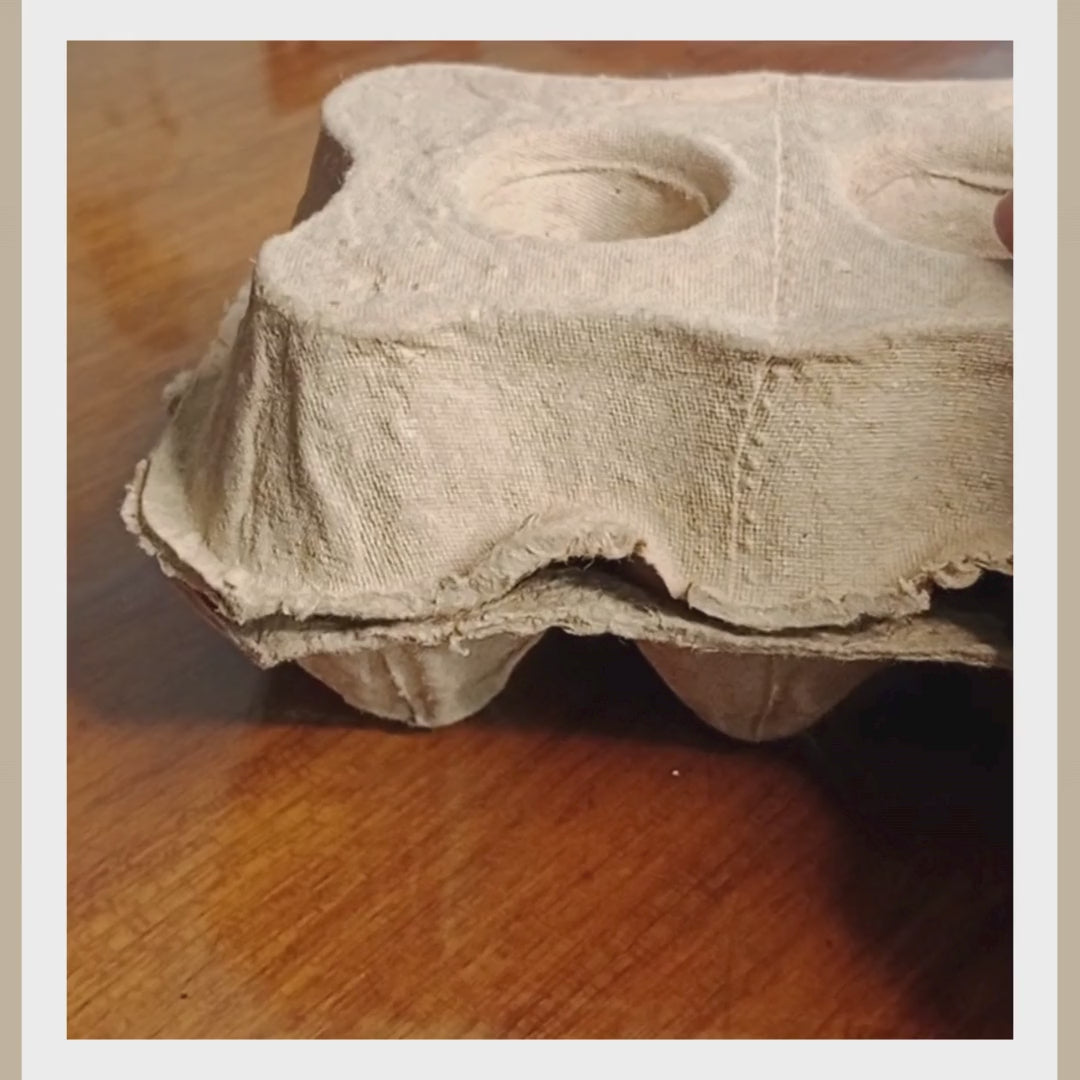 Eggs (Farm Fresh Organic Free Range Eggs)