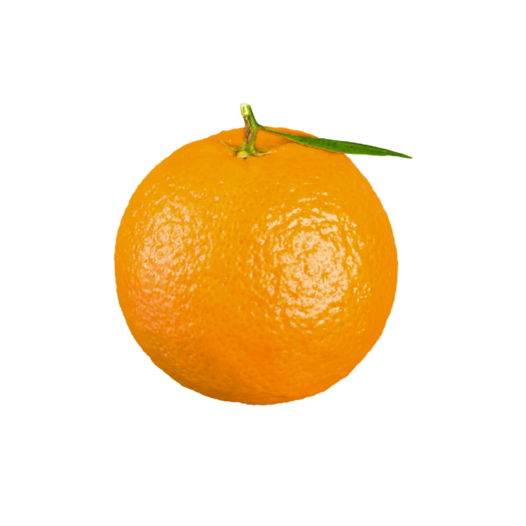 South African Maltas – Juicy, Sweet & Vitamin-C Rich Oranges